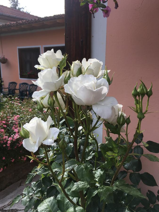Bobi Guest House Koprivshtitsa Exterior foto